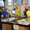 first-lego-liga, regijsko-tekmovanje, os-drska