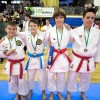 kk-soltec-brezice