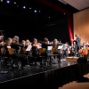 novomeski-simfonicni-orkester