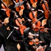 novomeski-simfonicni-orkester