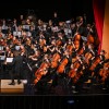 novomeski-simfonicni-orkester