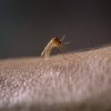 profimedia-0909060394.jpg