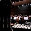 novomeski-simfonicni-orkester