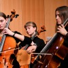 novomeski-simfonicni-orkester