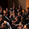novomeski-simfonicni-orkester