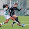 znk-mura-nona, ferencvaros-tc, pripravljalna-tekma