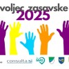 prostovoljec 2025.jpg