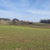 presernov-pohod, tesanovci, 21-presernov-pohod-v-tesanovcih