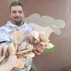 vgrow-mushroom, bukov-ostrigar, ratko-mirković