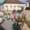 fasjenk-prevzme-oblast-na-obcini, zupan-dr-stress, koranti-hajdina