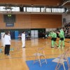 sic-brezice