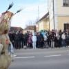 selmarija-2026-povorka-v-kostanjevici-na-krki, prforcenhaus