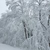 snegolom, obilno-snezenje