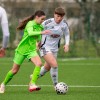 sznl, 17-krog, znk-zalec-trbovlje, znk-mura-nona