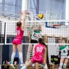 tpv-volley-novo-mesto