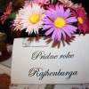ajda, medonosne-rastline-med, nesnovna-dediscina-krskega-polja
