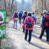 32-pohod-po-jurcicevi-poti