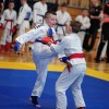sibor-inotherm, ju-jitsu