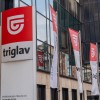 zavarovalnica-triglav, simbolična