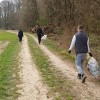 cistilna-akcija, cistilna-akcija-2026, ks-polana