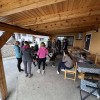 cistilna-akcija, nasova