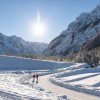 Planica, Tamar