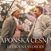 dedka-na-svobodi, japonska-cesnja