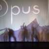 Opus