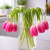 tulipani