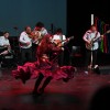 murska-sobota, dan-romov