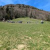 planinski-izlet, cemseniska-planina