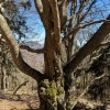 planinski-izlet, cemseniska-planina