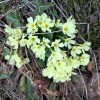 planinski-izlet, cemseniska-planina