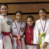 karate, kk-brezice