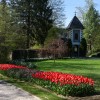 mozirski-gaj, mozirski-gaj-park-cvetja, razstava-pomladnega-cvetja, 48-razstava-pomladnega-cvetja, tulipani, cvetlice, roze