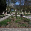 mozirski-gaj, mozirski-gaj-park-cvetja, razstava-pomladnega-cvetja, 48-razstava-pomladnega-cvetja, tulipani, cvetlice, roze