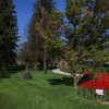 mozirski-gaj, mozirski-gaj-park-cvetja, razstava-pomladnega-cvetja, 48-razstava-pomladnega-cvetja, tulipani, cvetlice, roze