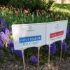 mozirski-gaj, mozirski-gaj-park-cvetja, razstava-pomladnega-cvetja, 48-razstava-pomladnega-cvetja, tulipani, cvetlice, roze