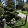 mozirski-gaj, mozirski-gaj-park-cvetja, razstava-pomladnega-cvetja, 48-razstava-pomladnega-cvetja, tulipani, cvetlice, roze