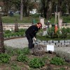 mozirski-gaj, mozirski-gaj-park-cvetja, razstava-pomladnega-cvetja, 48-razstava-pomladnega-cvetja, tulipani, cvetlice, roze