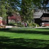 mozirski-gaj, mozirski-gaj-park-cvetja, razstava-pomladnega-cvetja, 48-razstava-pomladnega-cvetja, tulipani, cvetlice, roze