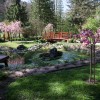 mozirski-gaj, mozirski-gaj-park-cvetja, razstava-pomladnega-cvetja, 48-razstava-pomladnega-cvetja, tulipani, cvetlice, roze