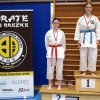 os-pokal-posavja, kk-brezice-soltec