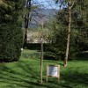 mozirski-gaj, mozirski-gaj-park-cvetja, razstava-pomladnega-cvetja, 48-razstava-pomladnega-cvetja, tulipani, cvetlice, roze