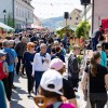 sentjurjevo-2026, kisla-zupa, dogajanje