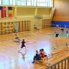 lendava, badminton, srebrna-žogica-lendave