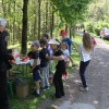 pespot-k-repnicam-2026, bizeljsko, bizeljske-pespoti, turisticno-drustvo-bizeljsko
