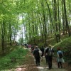 pespot-k-repnicam-2026, bizeljsko