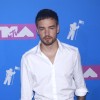 liam-payne