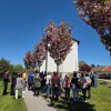kocevje, hanami